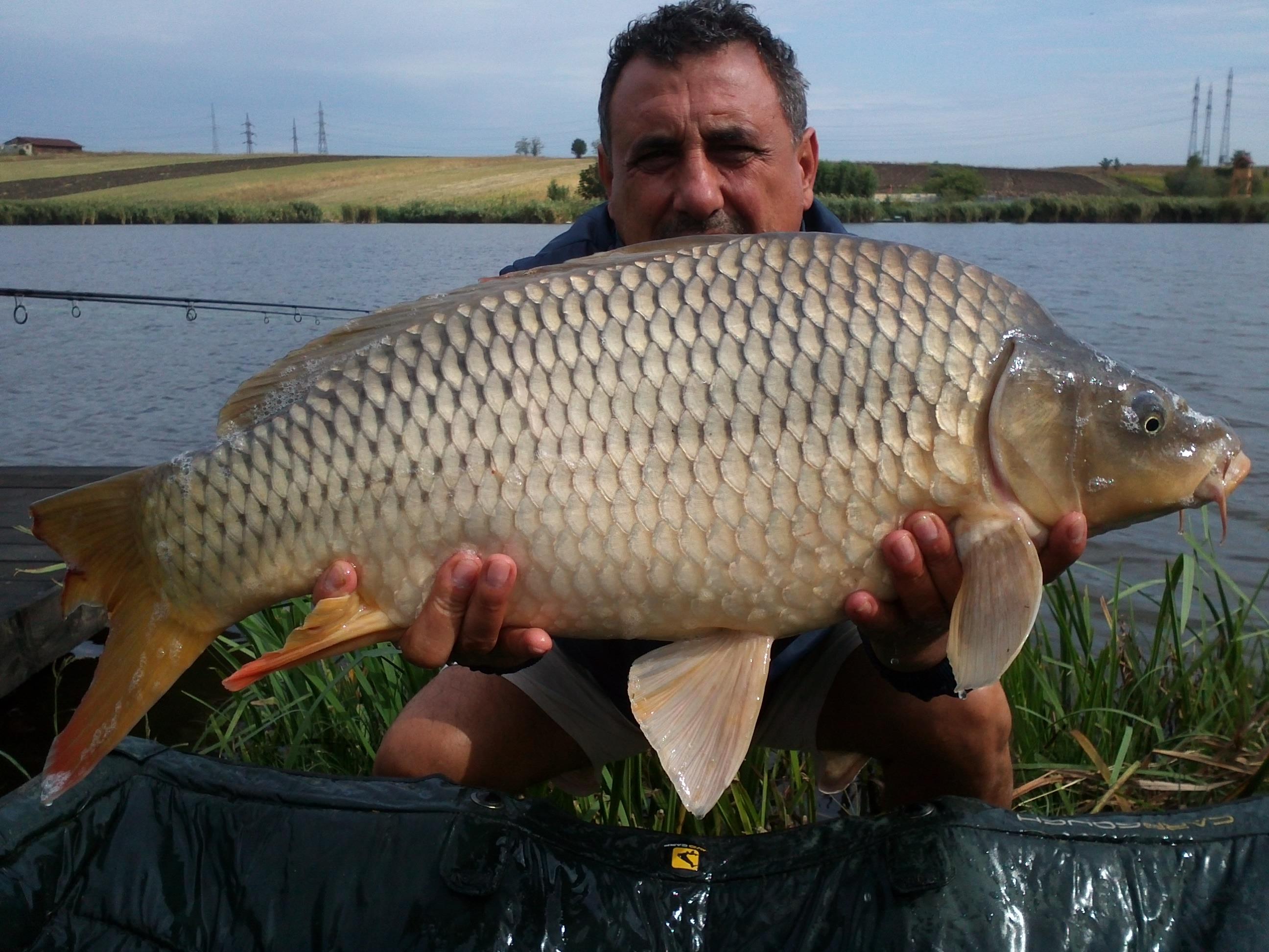 ceva pesti prinsi de mine - 350.jpg